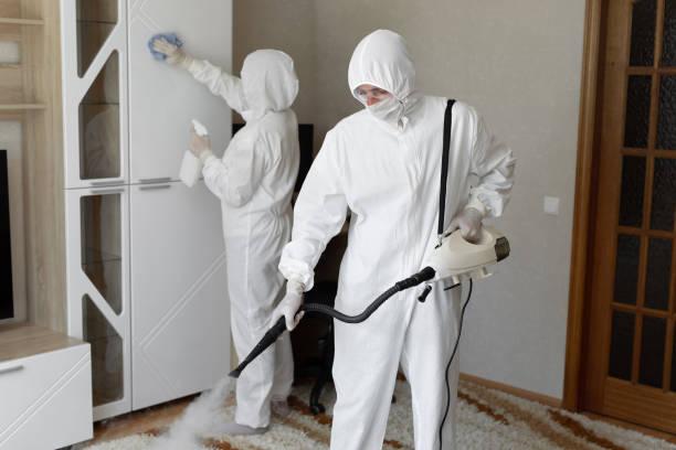 24/7 Emergency Biohazard Cleanup experts in Mountain View, CA